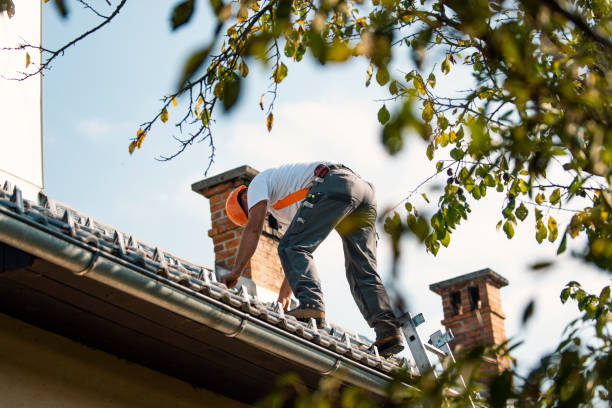 Quick and Trustworthy Emergency Roof Repair Services in Janesville, CA