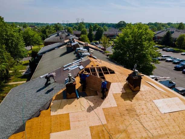Best Roof Maintenance Services  in Janesville, CA