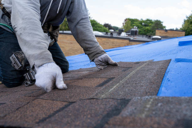 Best Storm Damage Roof Repair  in Janesville, CA