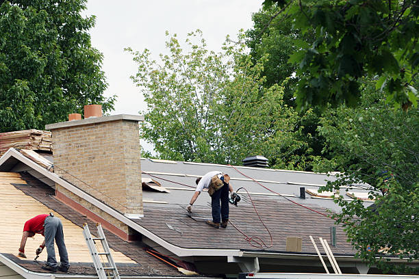 Best Roof Gutter Cleaning  in Janesville, CA