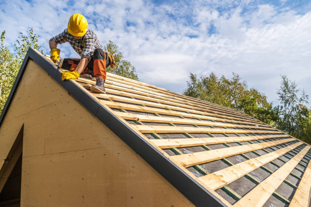 Best Roof Repair Services  in Janesville, CA
