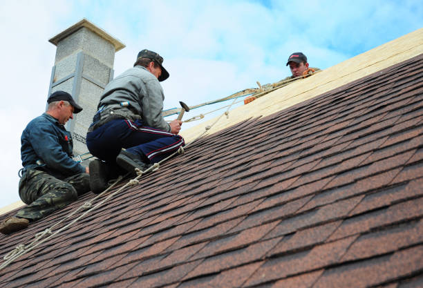 Best New Roof Installation  in Janesville, CA